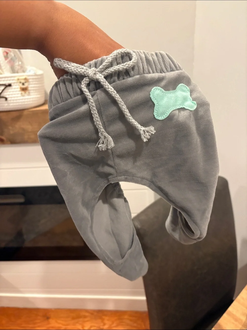 Gray Velour Pet hoodie pants set